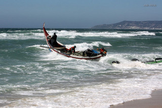 Dia Nacional do Mar comemorado na Praia de Mira