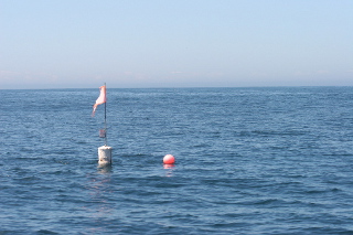 Pesca ilegal na Costa Vicentina