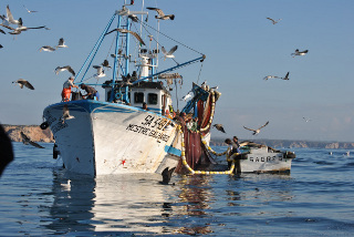 A Pequena Pesca é um potencial Para a sustentabilidade