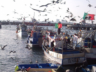 Portugal conseguiu aumento de 11% de quotas de pesca