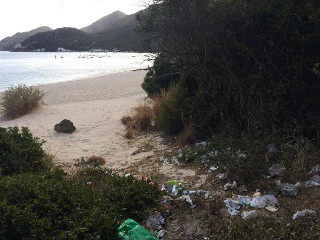 Limpeza voluntária de lixo no Portinho da Arrábida