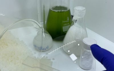 Projeto testa aplicação de microalgas para remover poluentes de águas residuais convertendo essa biomassa em produtos verdes